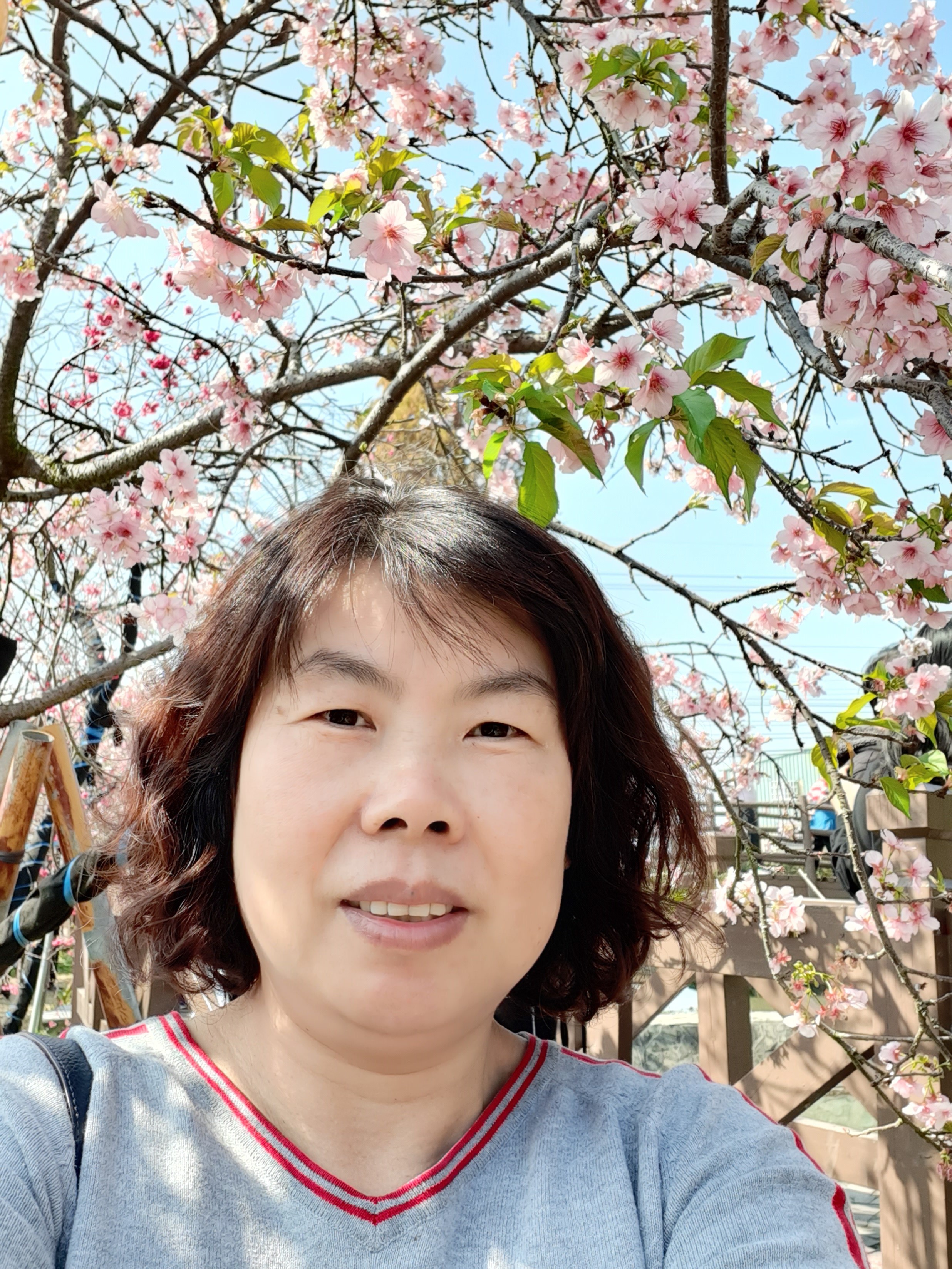 鄒綉菊